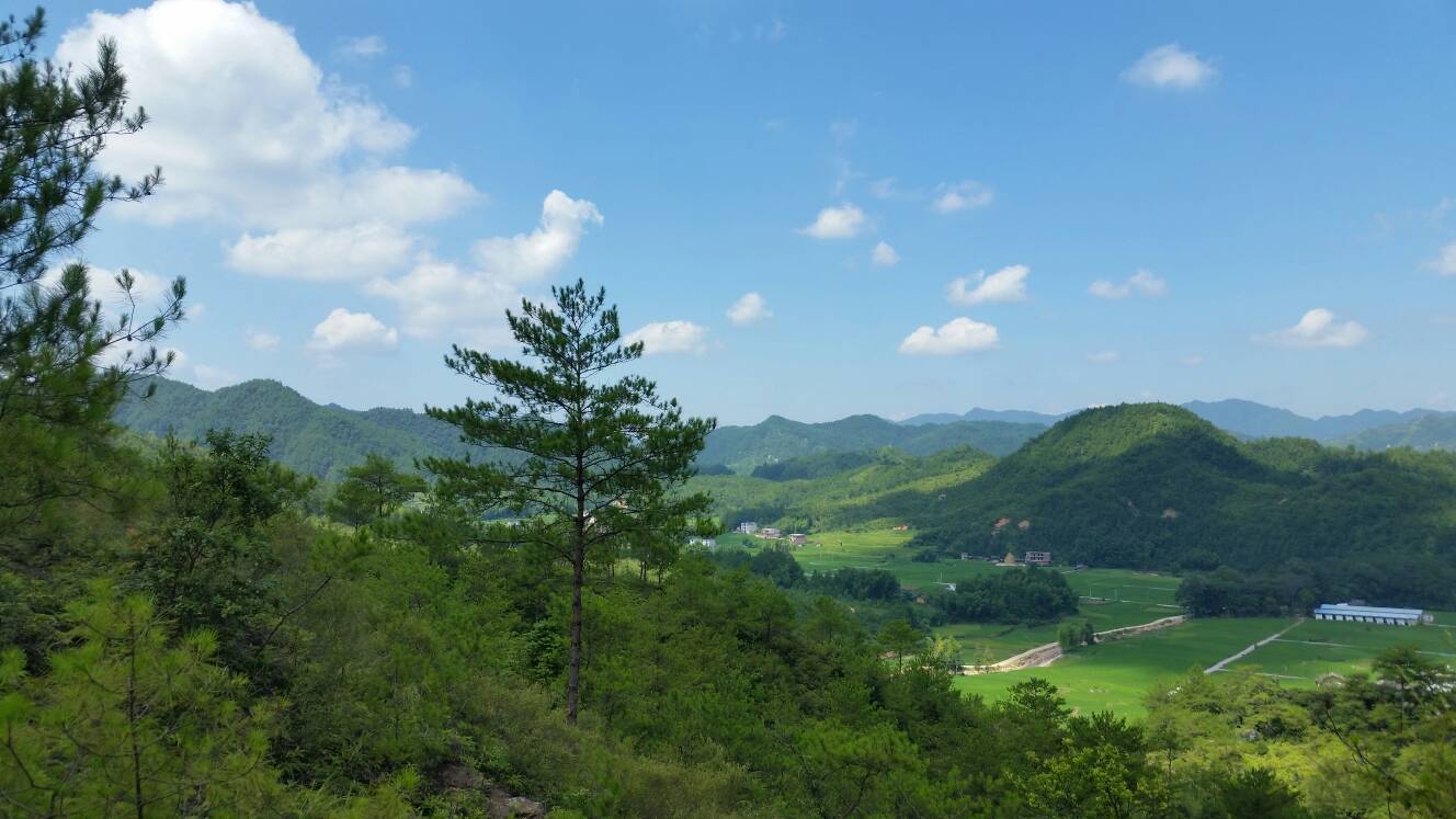 20160723_102204.jpg