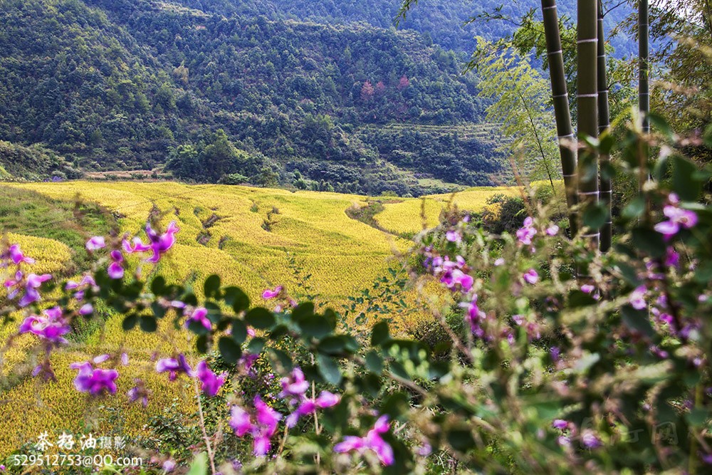 _MG_1401汀州摄影.jpg