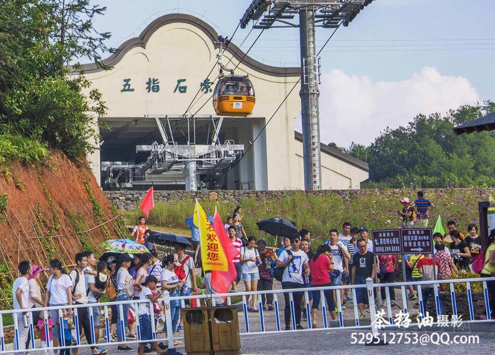_DSC2203汀州摄影.jpg