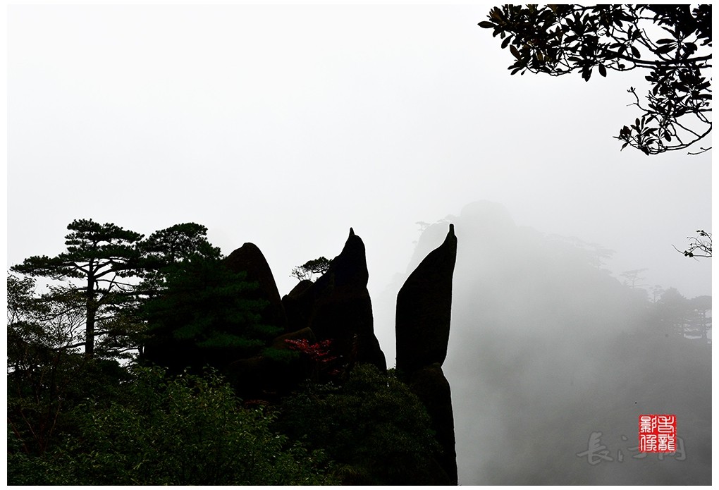 DSC_4397_副本.jpg