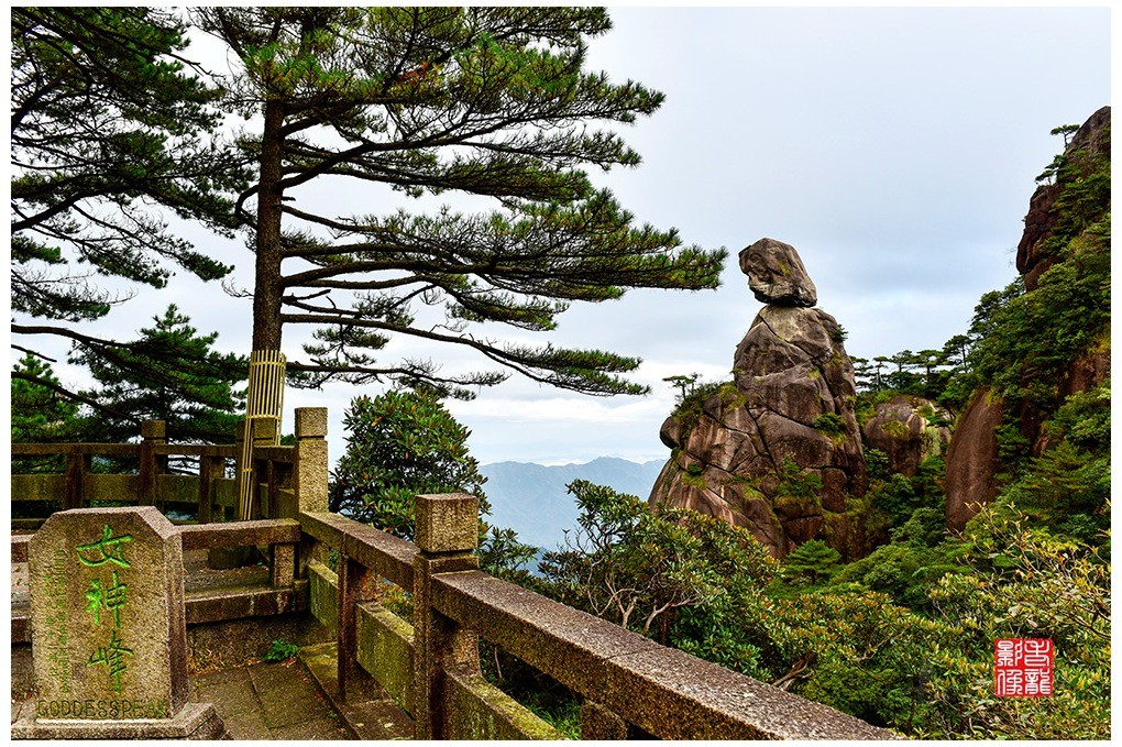 DSC_5013_副本.jpg