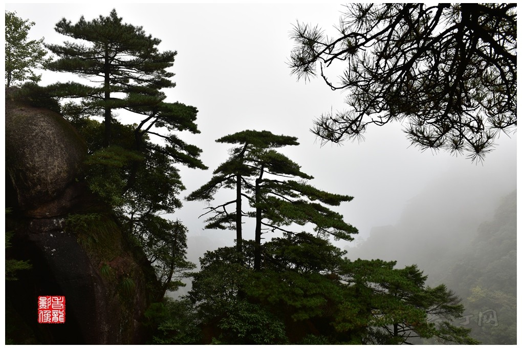 DSC_4386_副本.jpg