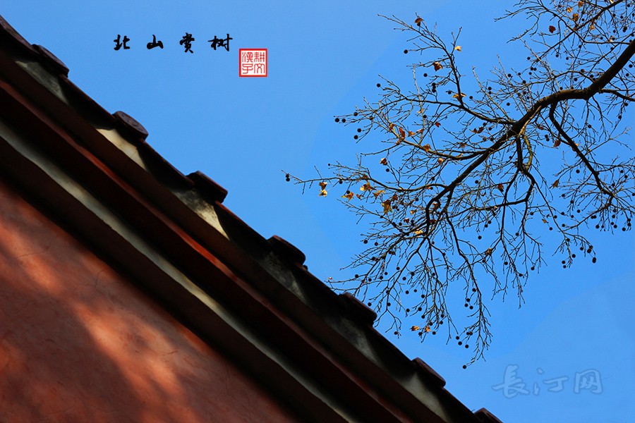 北山1a.jpg
