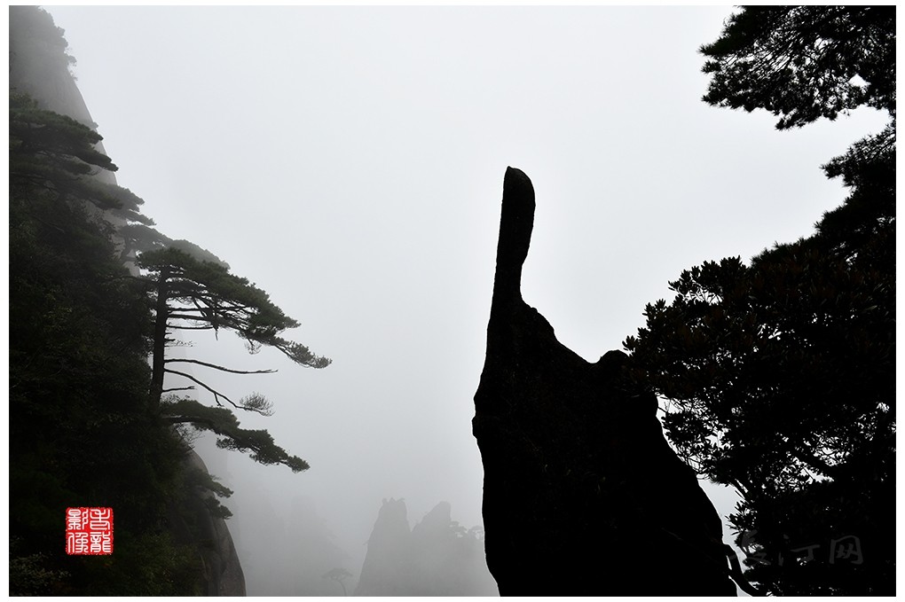 DSC_4535_副本.jpg