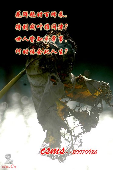 DSC_1567 拷贝.jpg