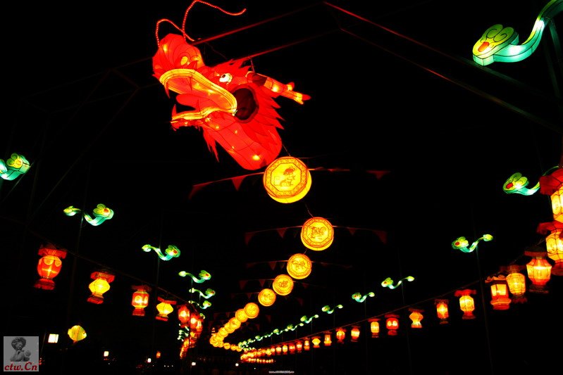 IMG_6601_缩小大小.jpg