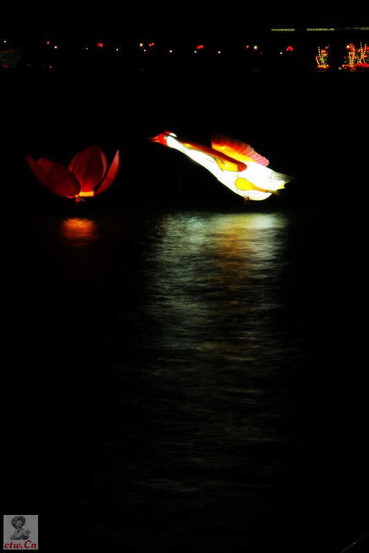 IMG_6590_缩小大小.jpg