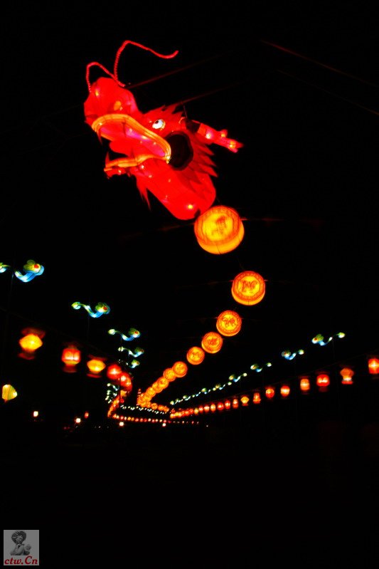 IMG_6600_缩小大小.jpg
