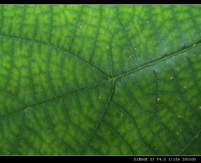 PICT0032.JPG
