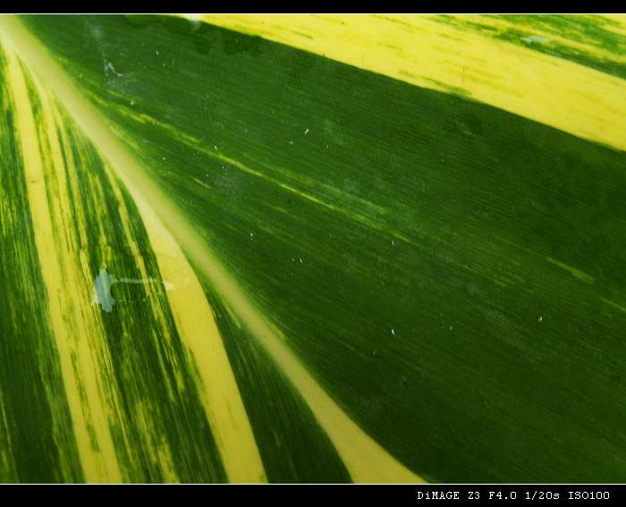 PICT0027.JPG