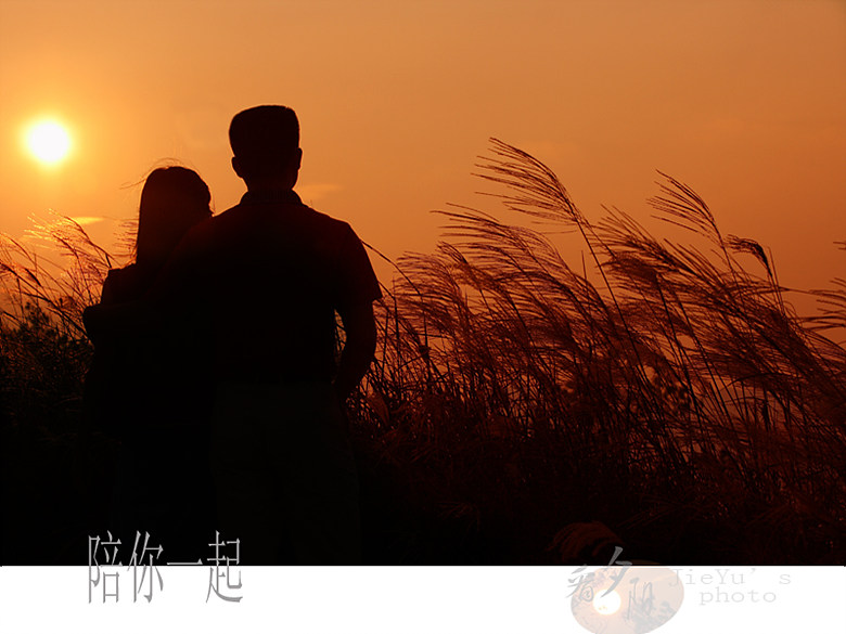 陪你一起看夕阳.jpg
