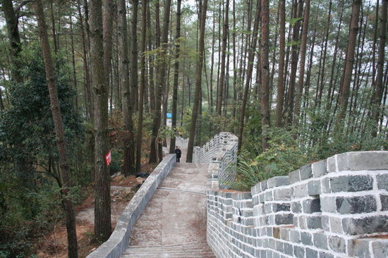 37没入在松林中.JPG