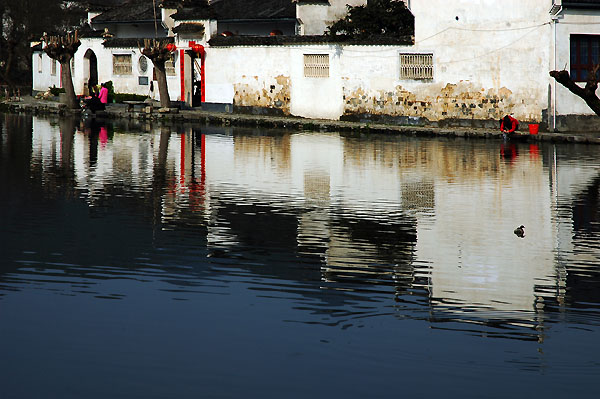 DSC_1298n.jpg
