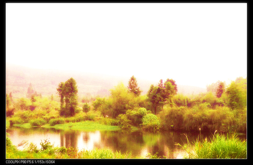 20090604_1657a9dd82706cc04d83Duo1XRkeYpms.jpg