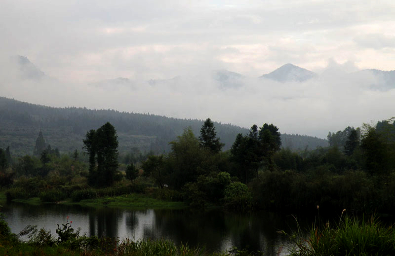 20090604_1657a9dd82706cc04d83Duo1XRkeYpms[1].jpg