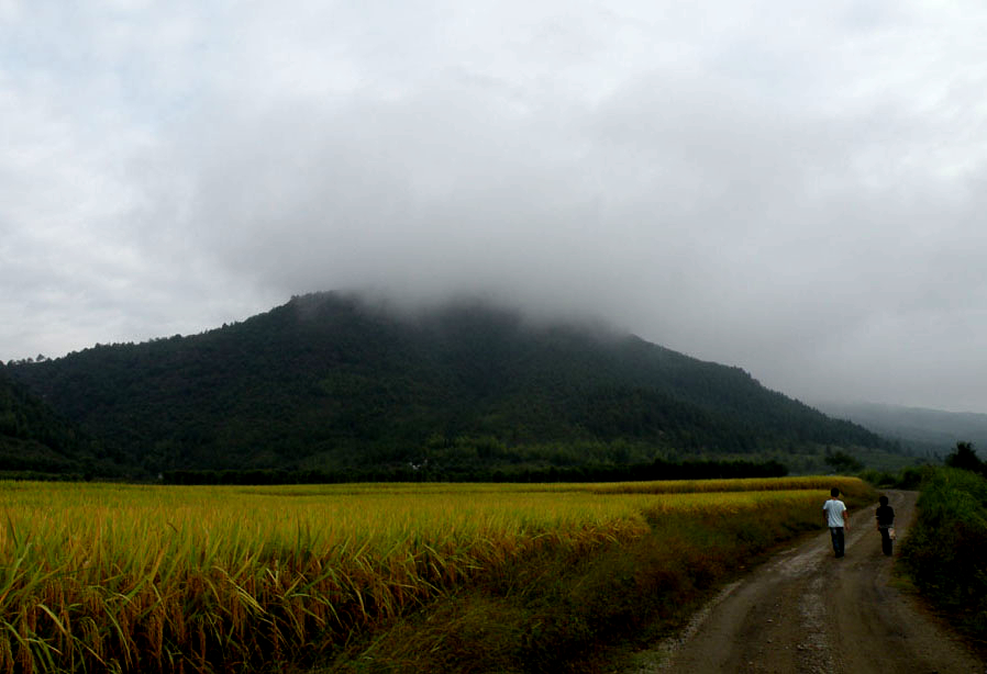 20090604_8de6c9520857c219e384oMSxBHUxIB6F[1].jpg