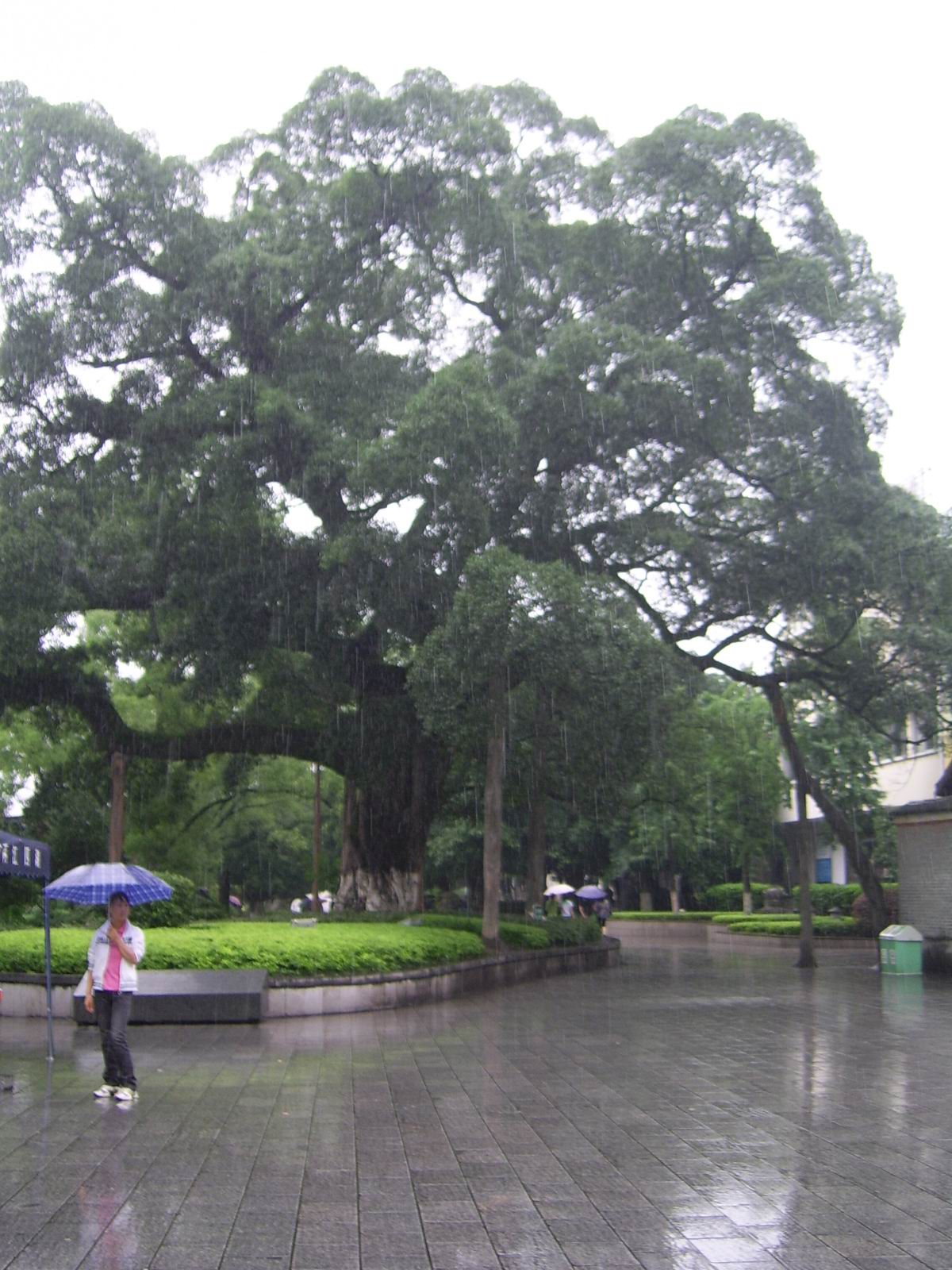 SSA44293.JPG