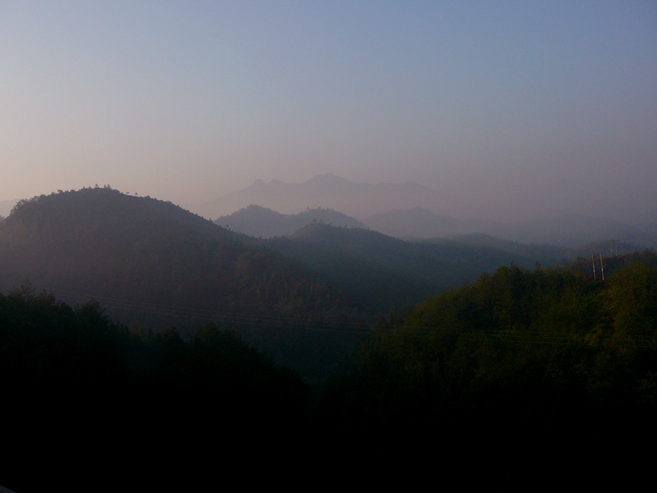 010.jpg